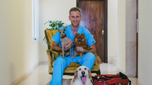 TomVets - Veterinario a Domicilio en Barcelona y Girona