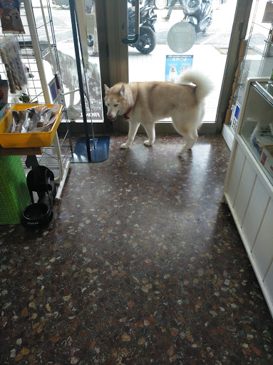 Tienda y Peluquería de Animales Drac