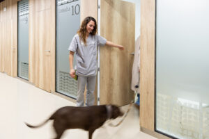 AniCura Glòries Hospital Veterinario