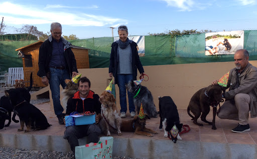 Adiestrar Perros Barcelona - Adiestrador de Perros - Curso Adiestramiento Canino - Escuela Formación Canina - Etólogo Canino