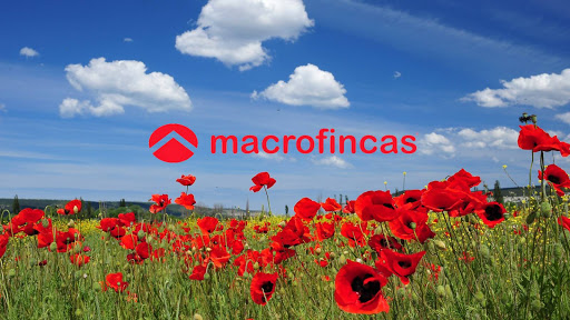 Macrofincas