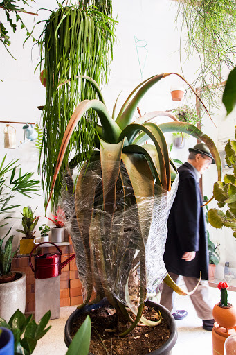 CASA PROTEA Plant Collectors Studio