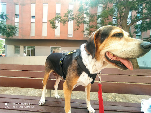 Centre Veterinari Porta