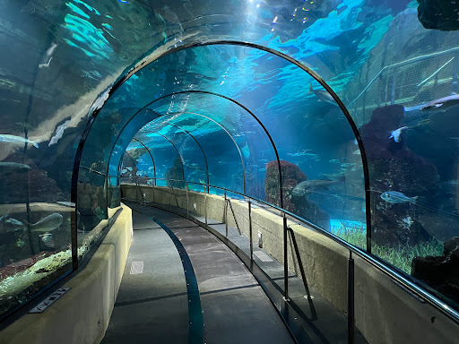 Aquarium de Barcelona