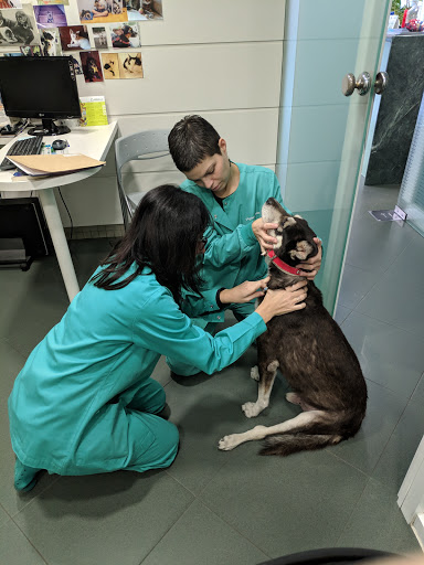 Clínica Veterinària Poble Nou