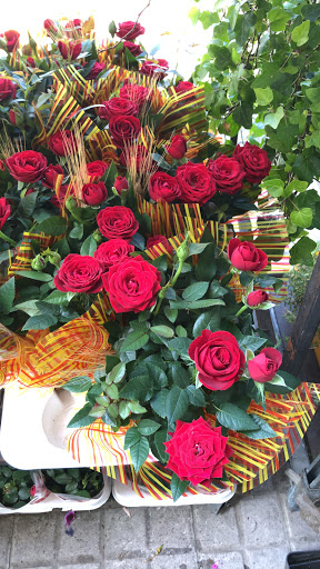 Floristería Fiori