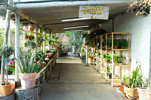 EL NOU GARDEN