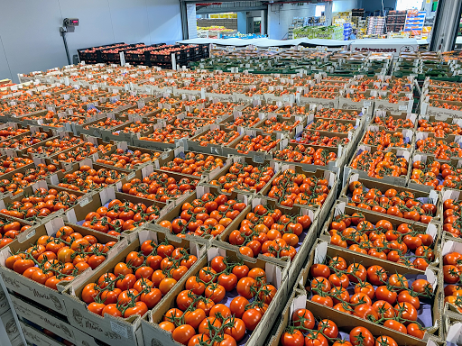 Frutas y Verduras Navío