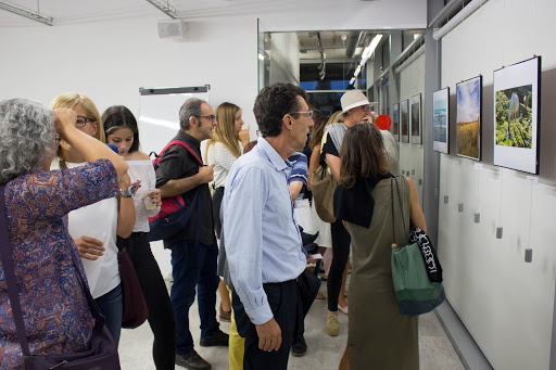 Espacio de fotografía Francesc Català-Roca