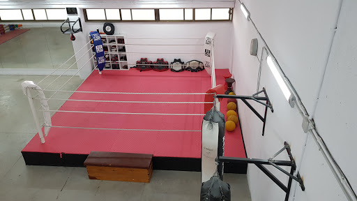 Gimnasio K.O.Verdún