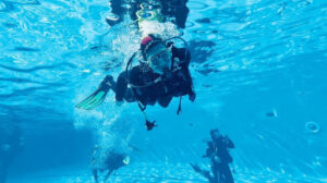 BCN Diving