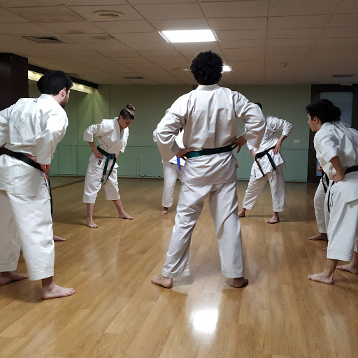 RanAi Dojo