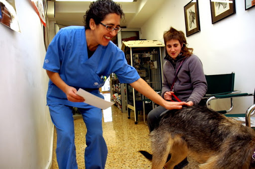 Clínica Veterinaria La Salut - Centro Veterinario Barcelona