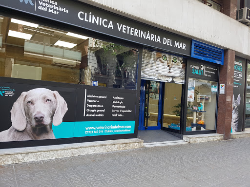 Clínica Veterinaria del Mar - Sicília