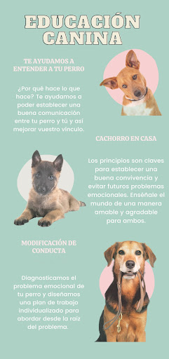 Adiestramiento Canino - Sapiens Dog