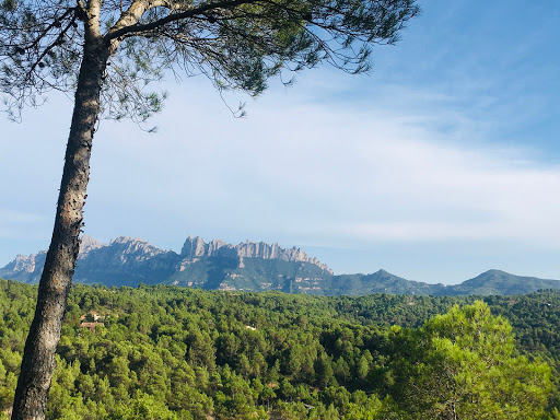 Centro de Meditación Kadampa Mahakaruna