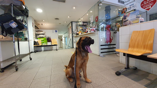 Hospital Veterinario Balmes