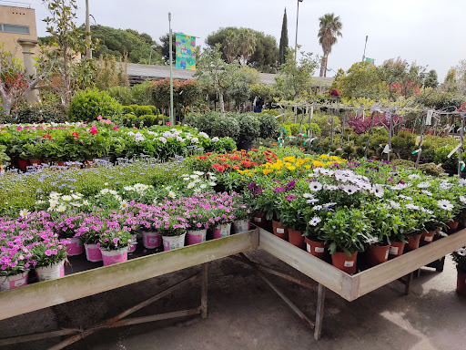 Conillas Garden Center