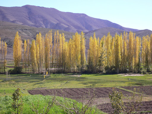 Maderas Prat (Sucesores Prat): almacén