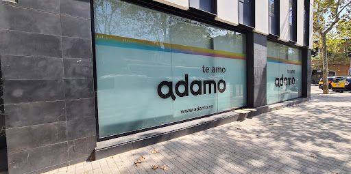 Adamo