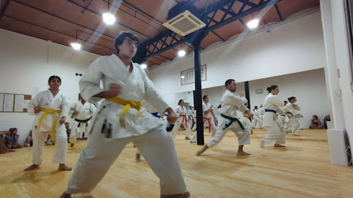 Fudoshin Dojo Gràcia