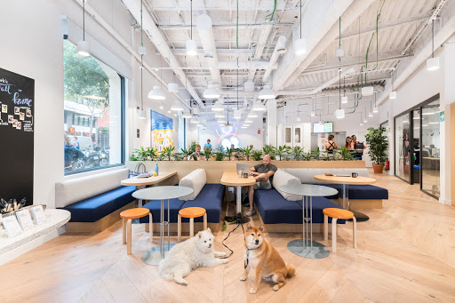 WeWork - Espacio de oficinas y coworking