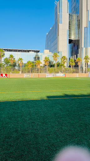 Club de Fútbol La Catalana