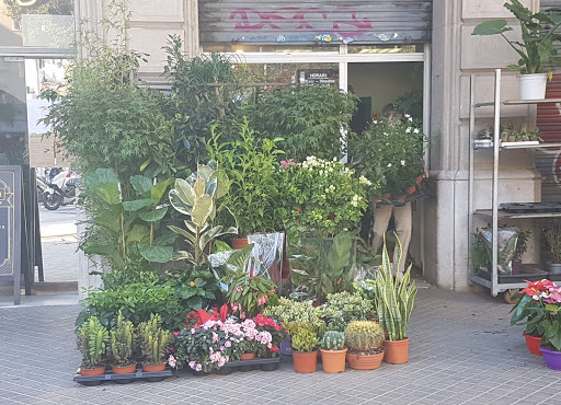 Floristeria María Barcelona