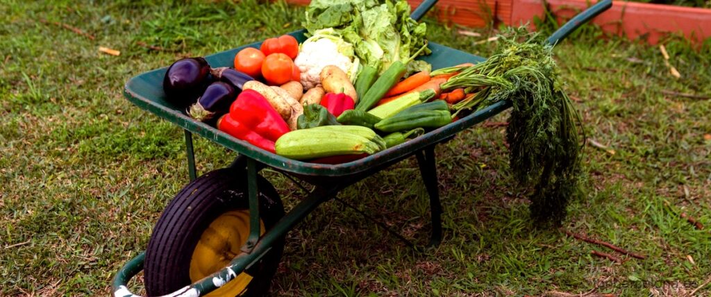 Las 15 mejores tiendas de frutas y verduras de agricultores de Barcelona