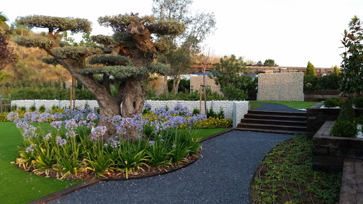 Jardí Pond