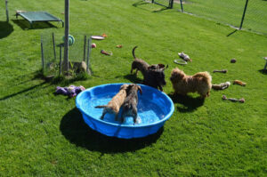 Resort Canino 5*GL Dondersteen