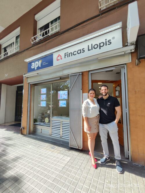 FINCAS LLOPIS