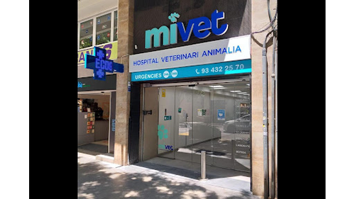 Hospital Veterinario MiVet Animalia