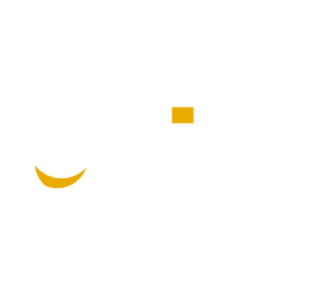 Life Informàtica